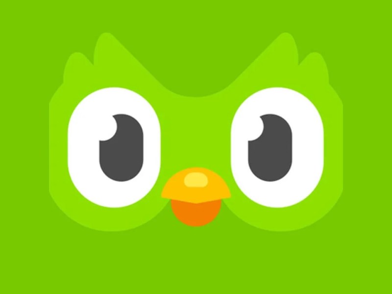 Learn any language for free -Duolingo&nbsp;plus